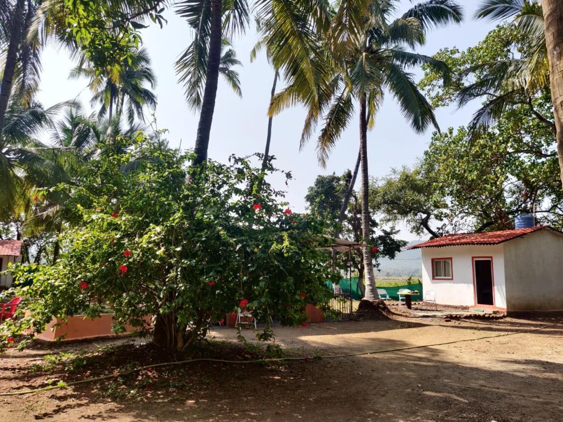 Sereno Farms Alībāg Exterior photo